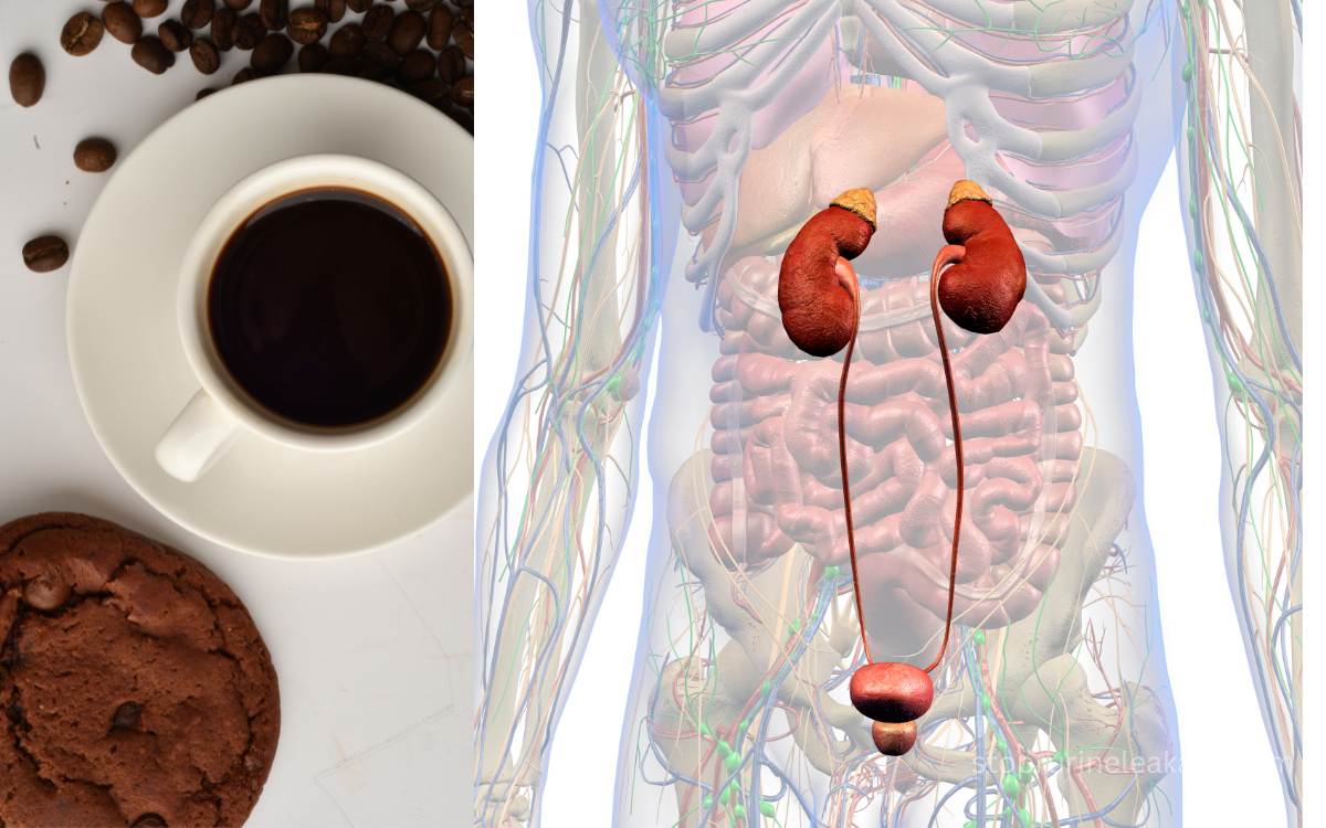 Caffeine vs. Your Bladder